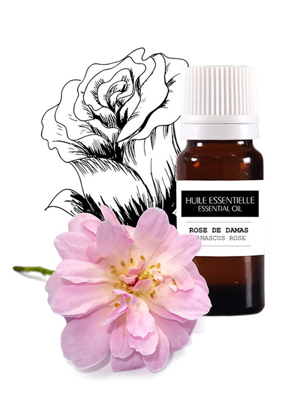 Damascus Rose Organic Essential oil, 1 ml —  (JSC La Cure  D.S.P)